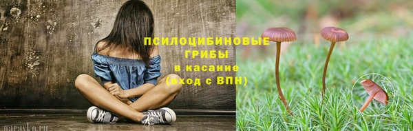 герыч Алзамай