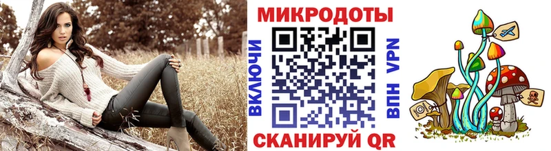 Галлюциногенные грибы Psilocybe  Новороссийск 